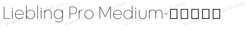 Liebling Pro Medium字体转换